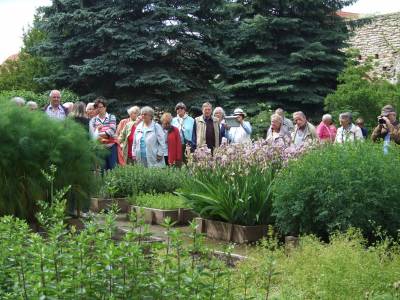 CDU-Reisegruppe im Kr�utergarten des Klosters Memleben in Sachsen-Anhalt